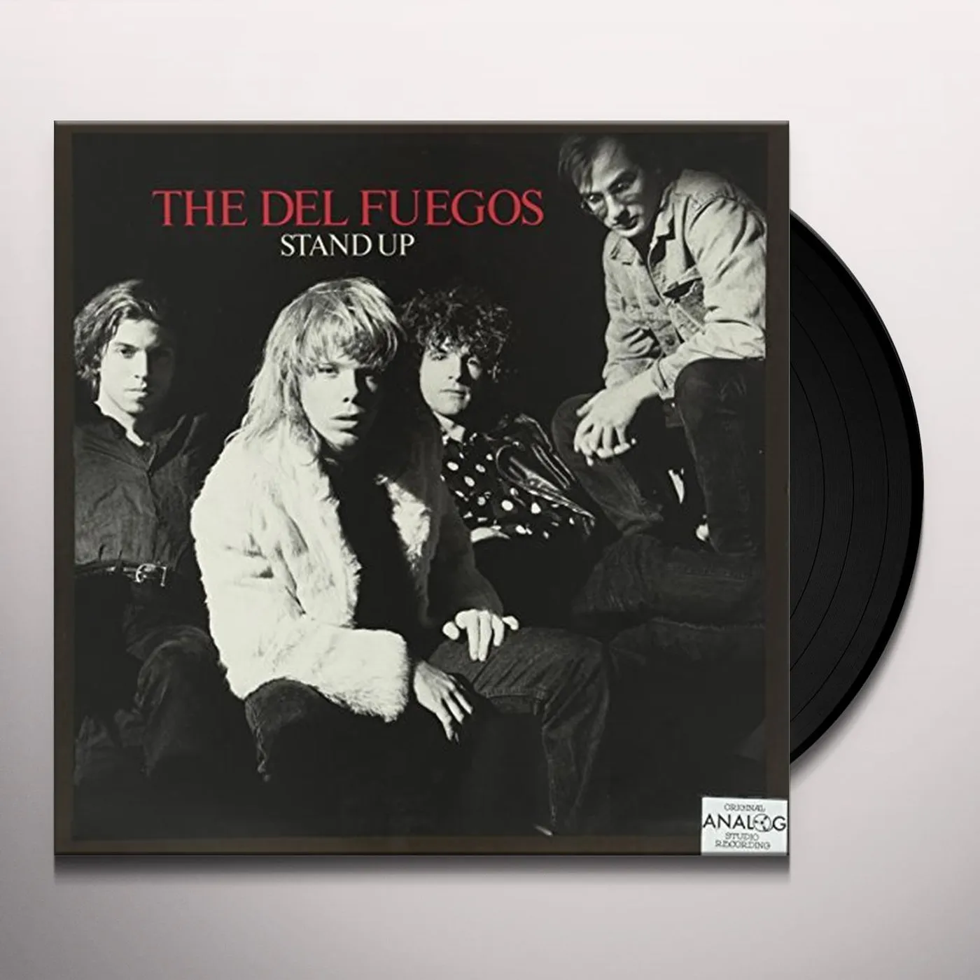 The Del Fuegos Stand Up Vinyl Record