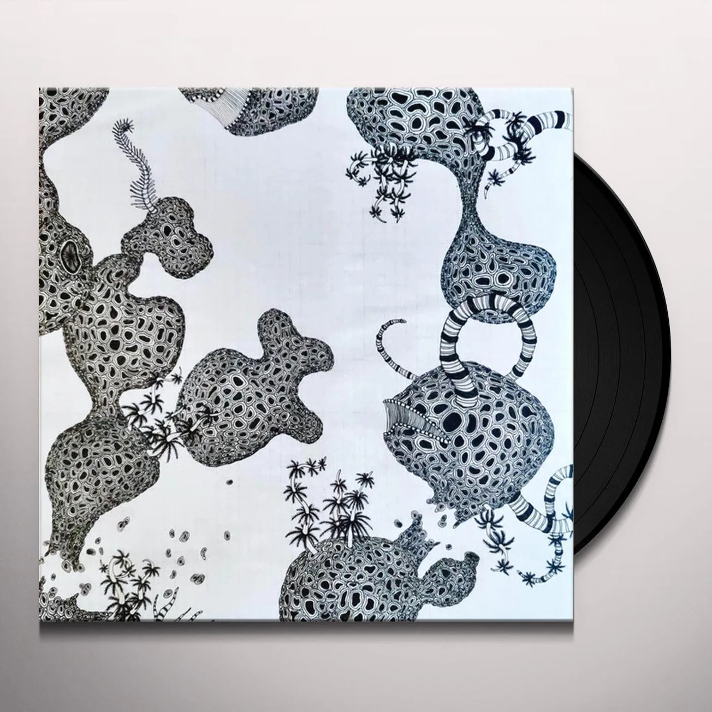 The Shins Wincing The Night Away Vinyl Record