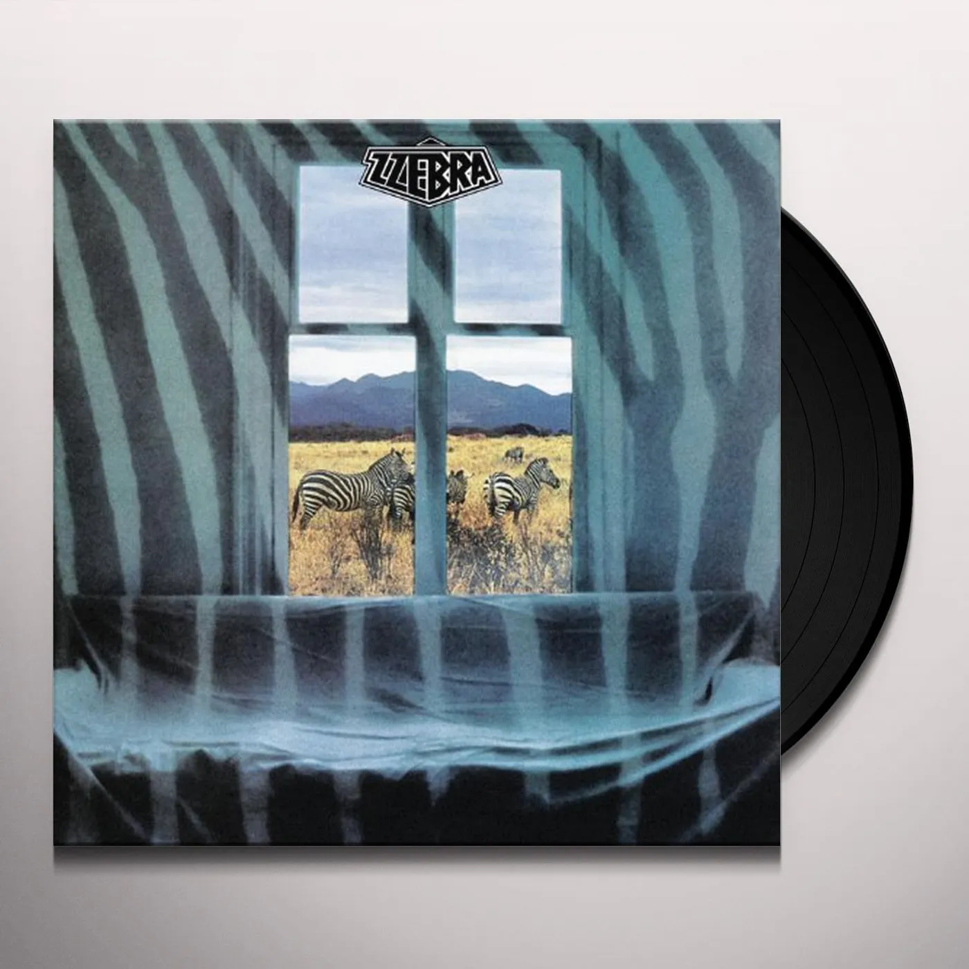 Zzebra Vinyl Record