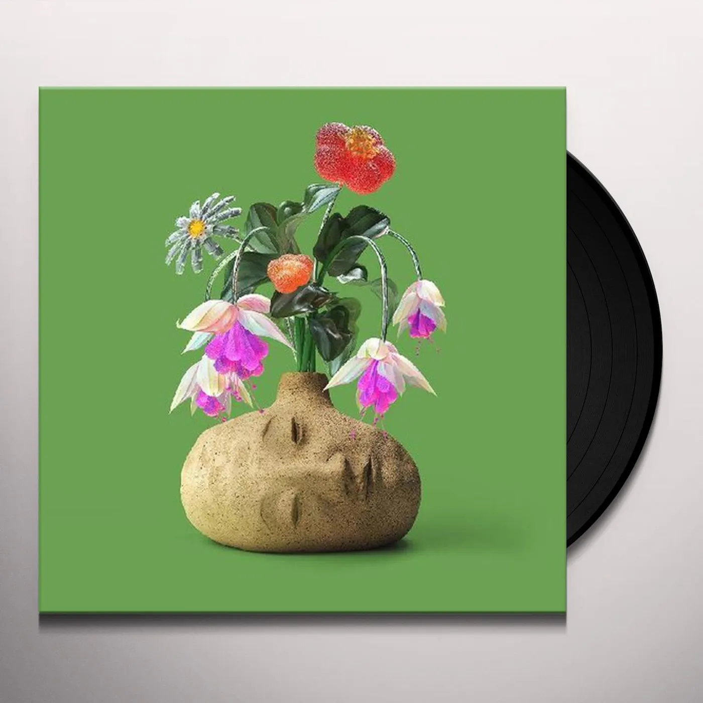 Elephant Gym Dreams Vinyl Record