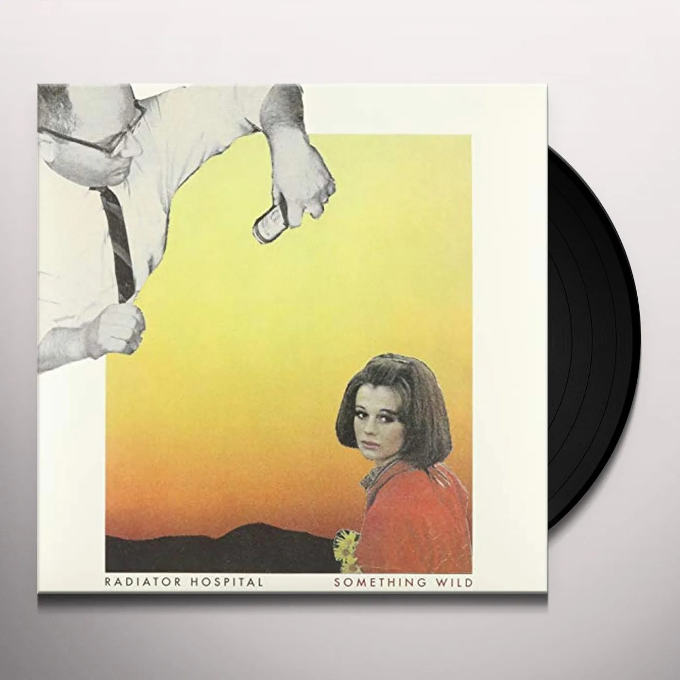 Radiator Hospital Something Wild Vinyl Record