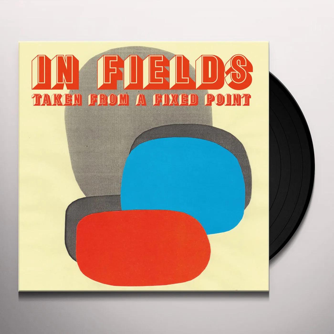 In Fields Taken From a Fixed Point Vinyl Record