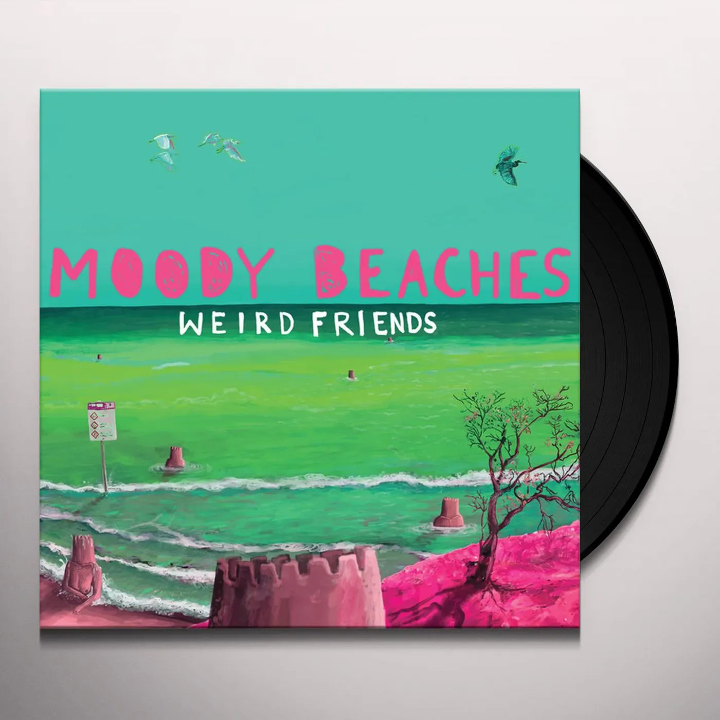 Moody Beaches Weird Friends Vinyl Record