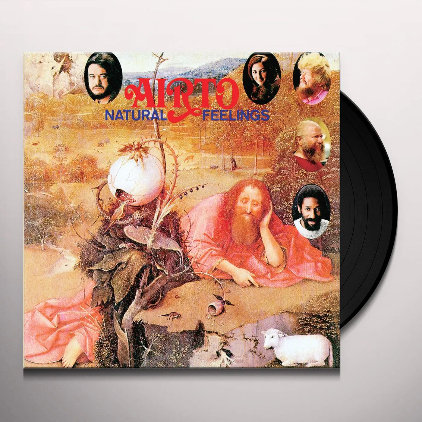 Airto Natural Feelings Vinyl Record