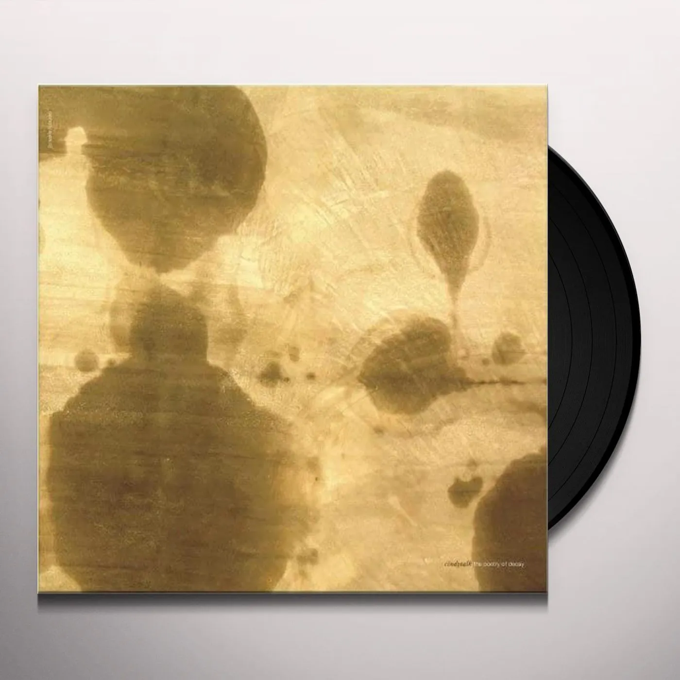 Cindytalk POETRY OF DECAY Vinyl Record