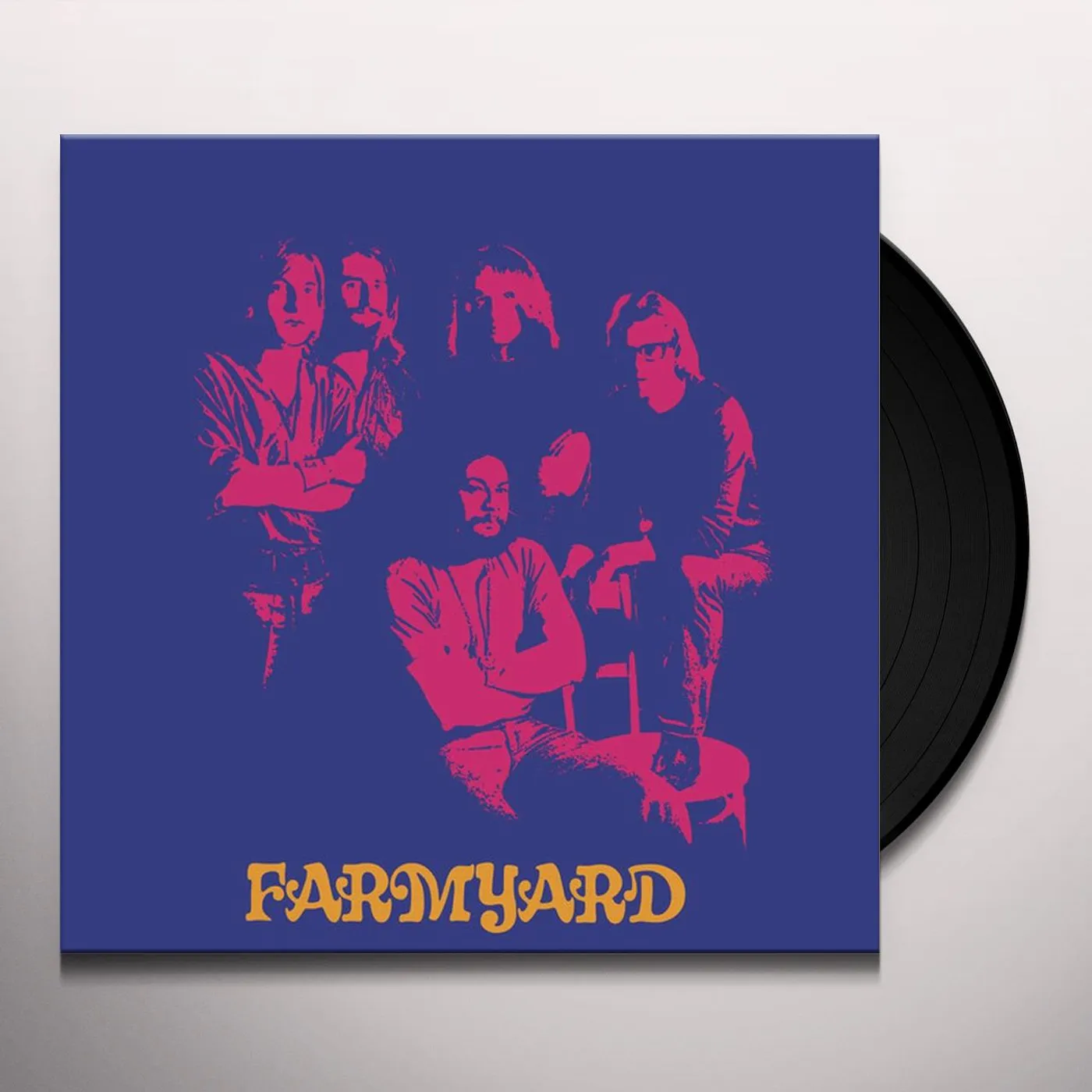 Farmyard Vinyl Record