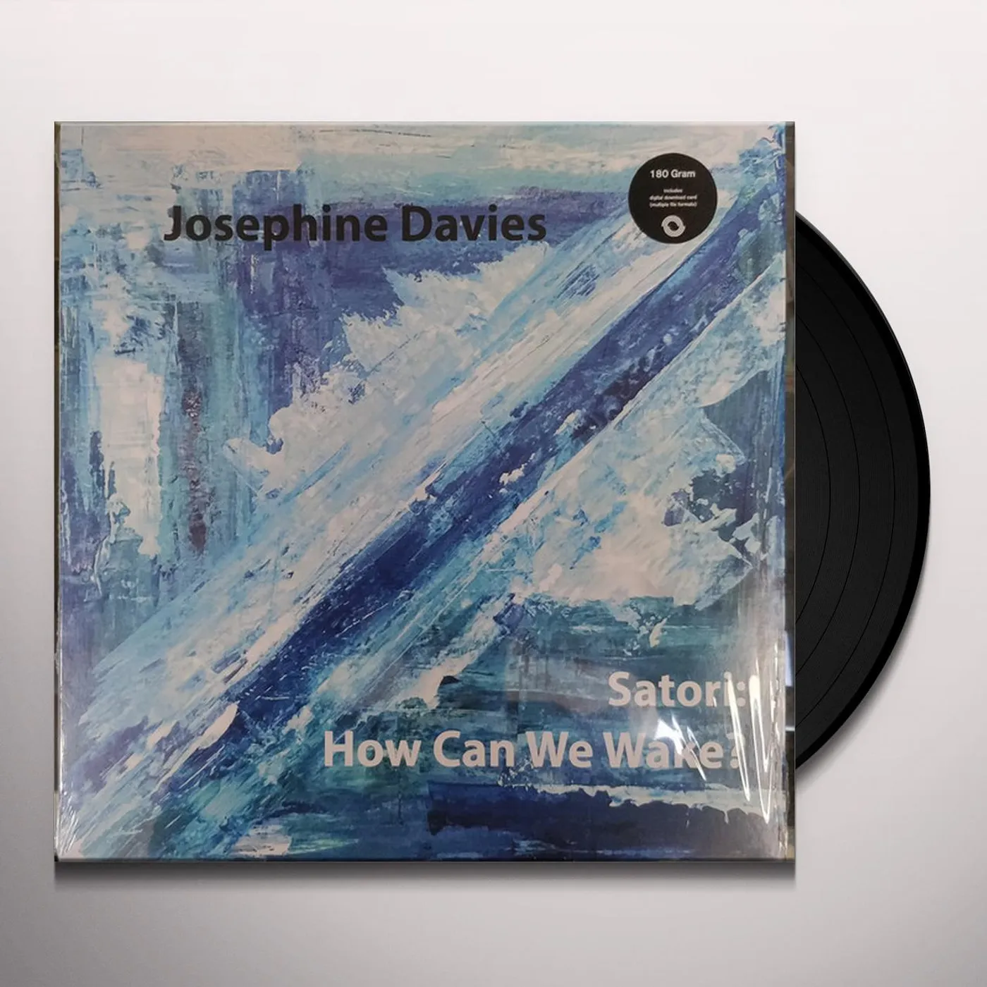 Josephine Davies Satori: How Can We Wake? Vinyl Record