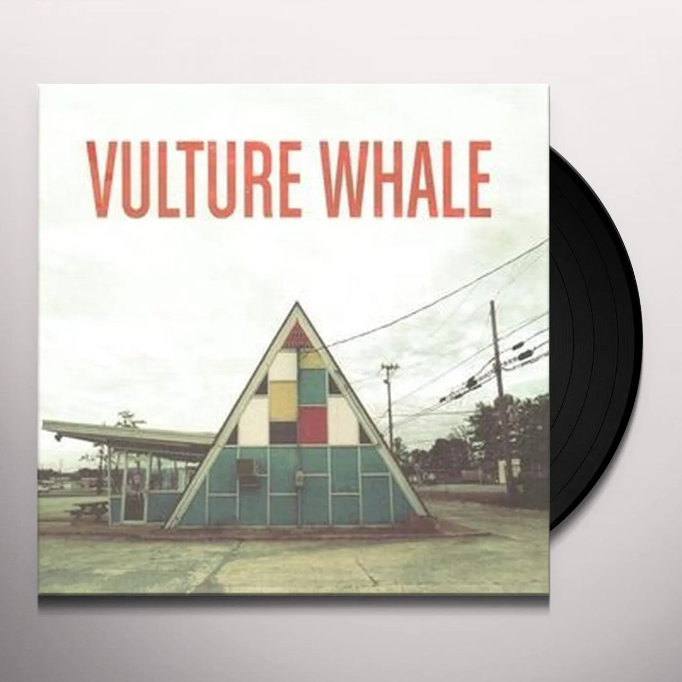 Vulture Whale Vinyl Record