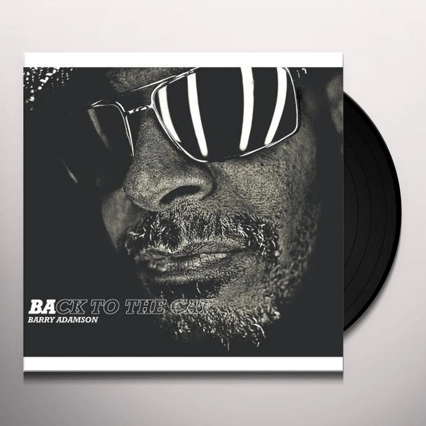 Barry Adamson Back to the Cat Vinyl Record