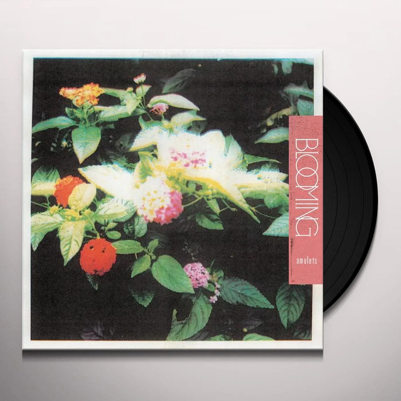 Amulets Blooming Vinyl Record