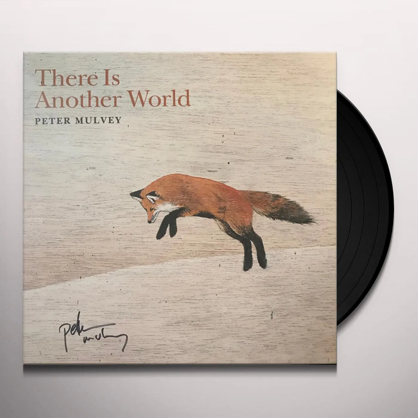 Peter Mulvey There Is Another World Vinyl Record