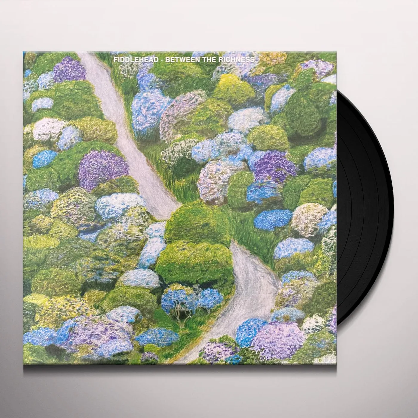 Fiddlehead BETWEEN THE RICHNESS Vinyl Record