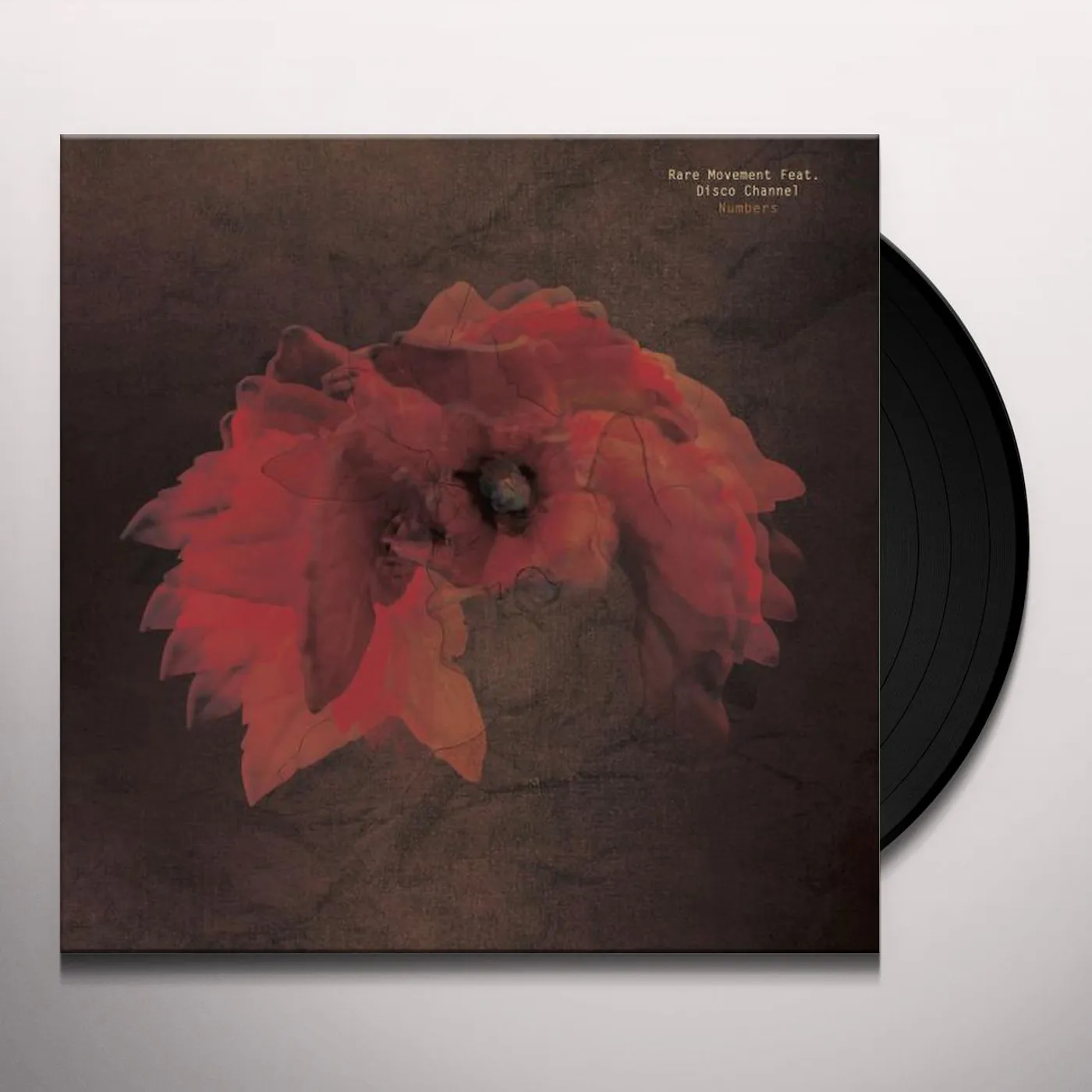 Rare Movement Numbers Vinyl Record