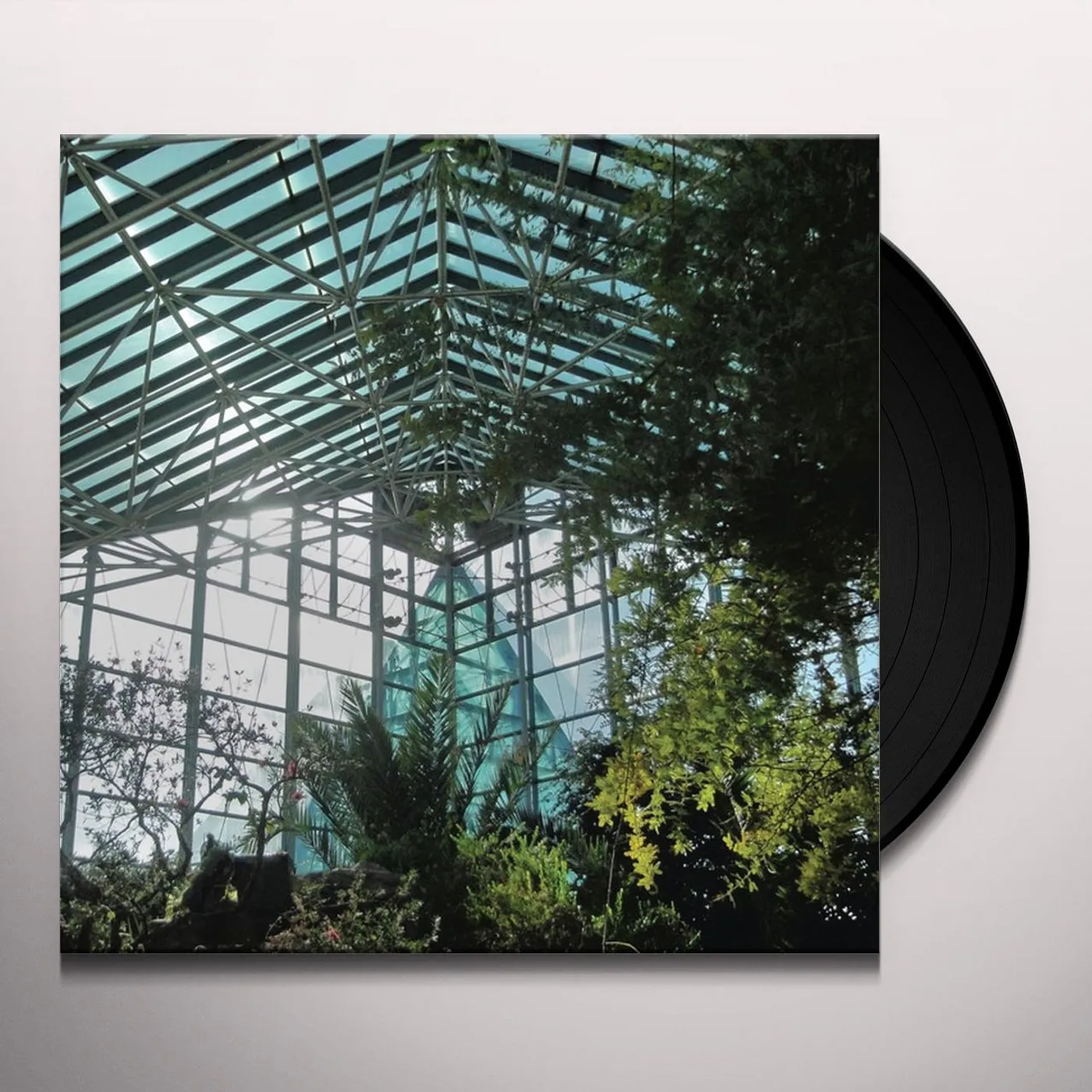 Bee Mask When We Were Eating Unripe Pears Vinyl Record