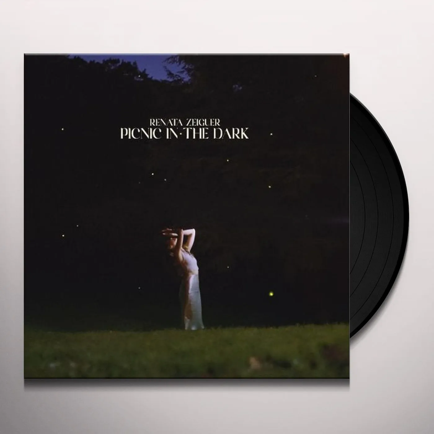Renata Zeiguer PICNIC IN THE DARK (DL CARD) Vinyl Record