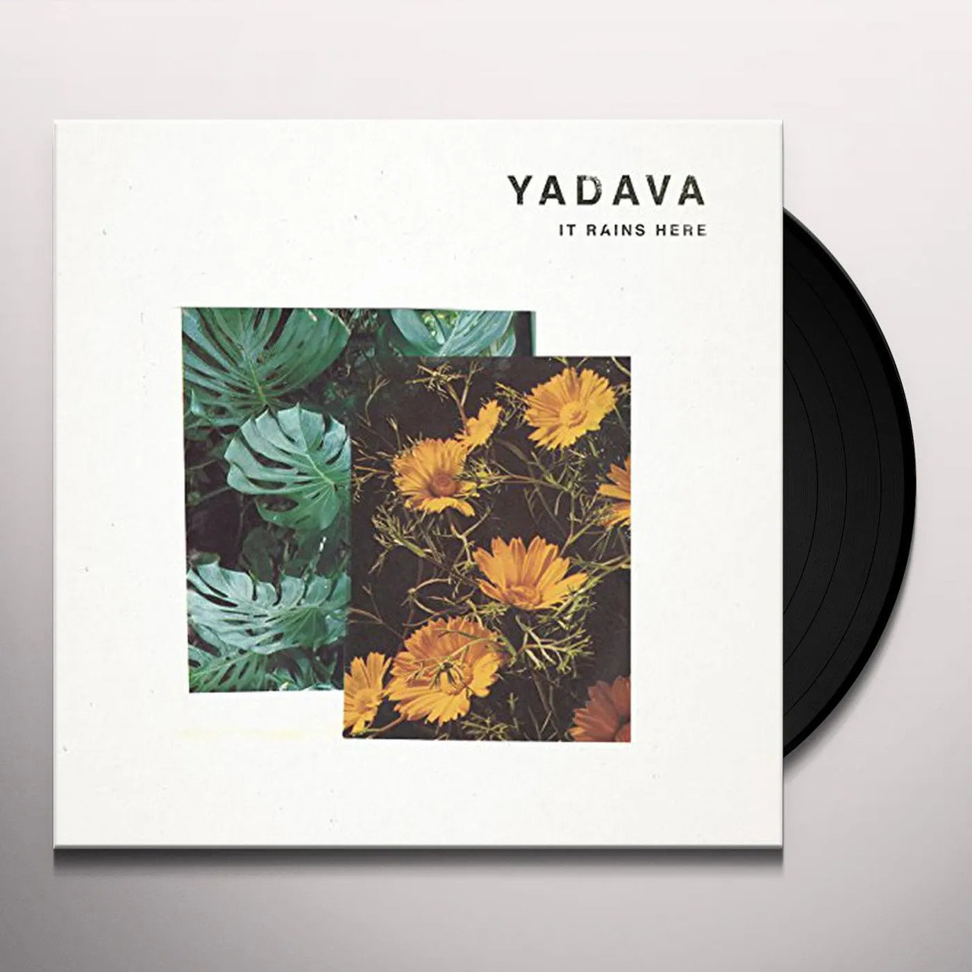 Yadava It Rains Here Vinyl Record