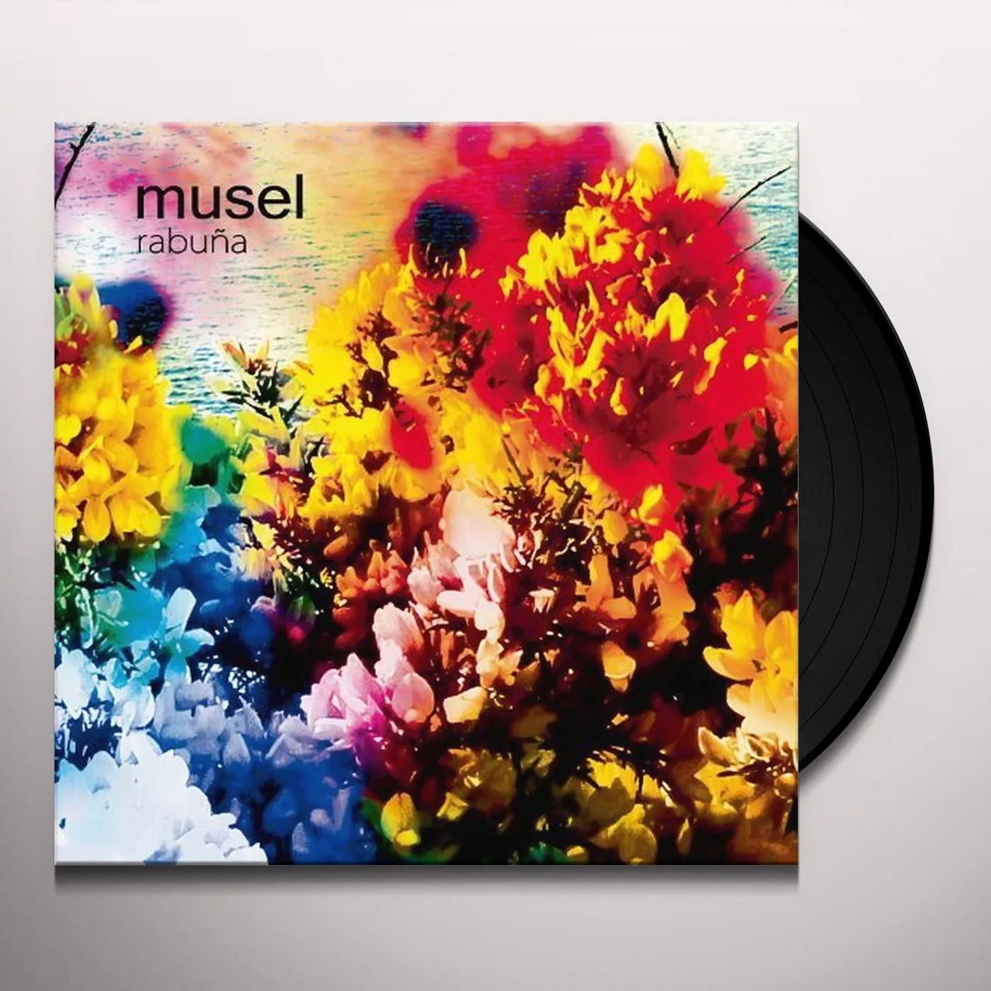 Musel RABUNA Vinyl Record
