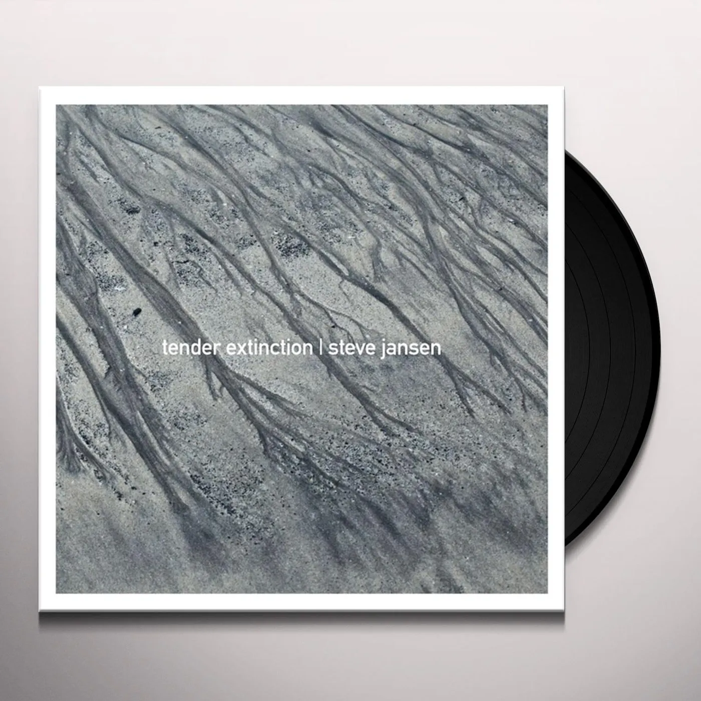 Steve Jansen Tender Extinction Vinyl Record
