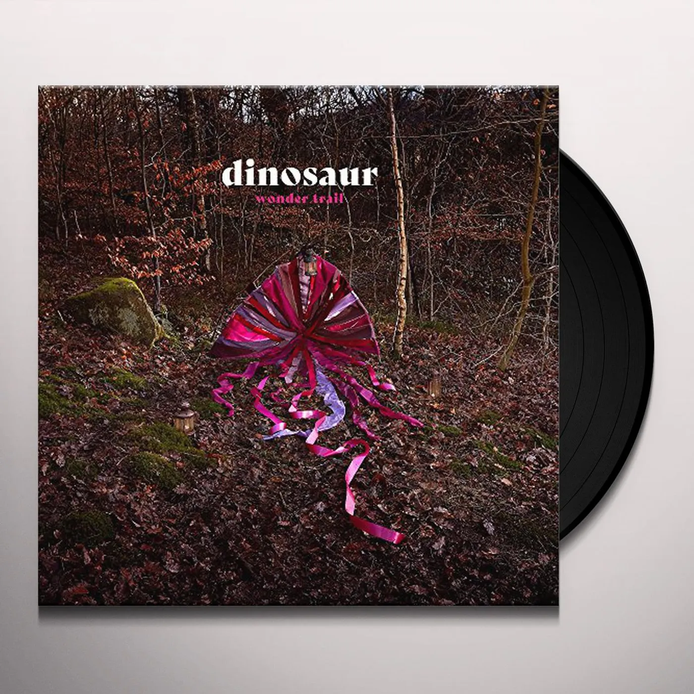 Dinosaur Wonder Trail Vinyl Record