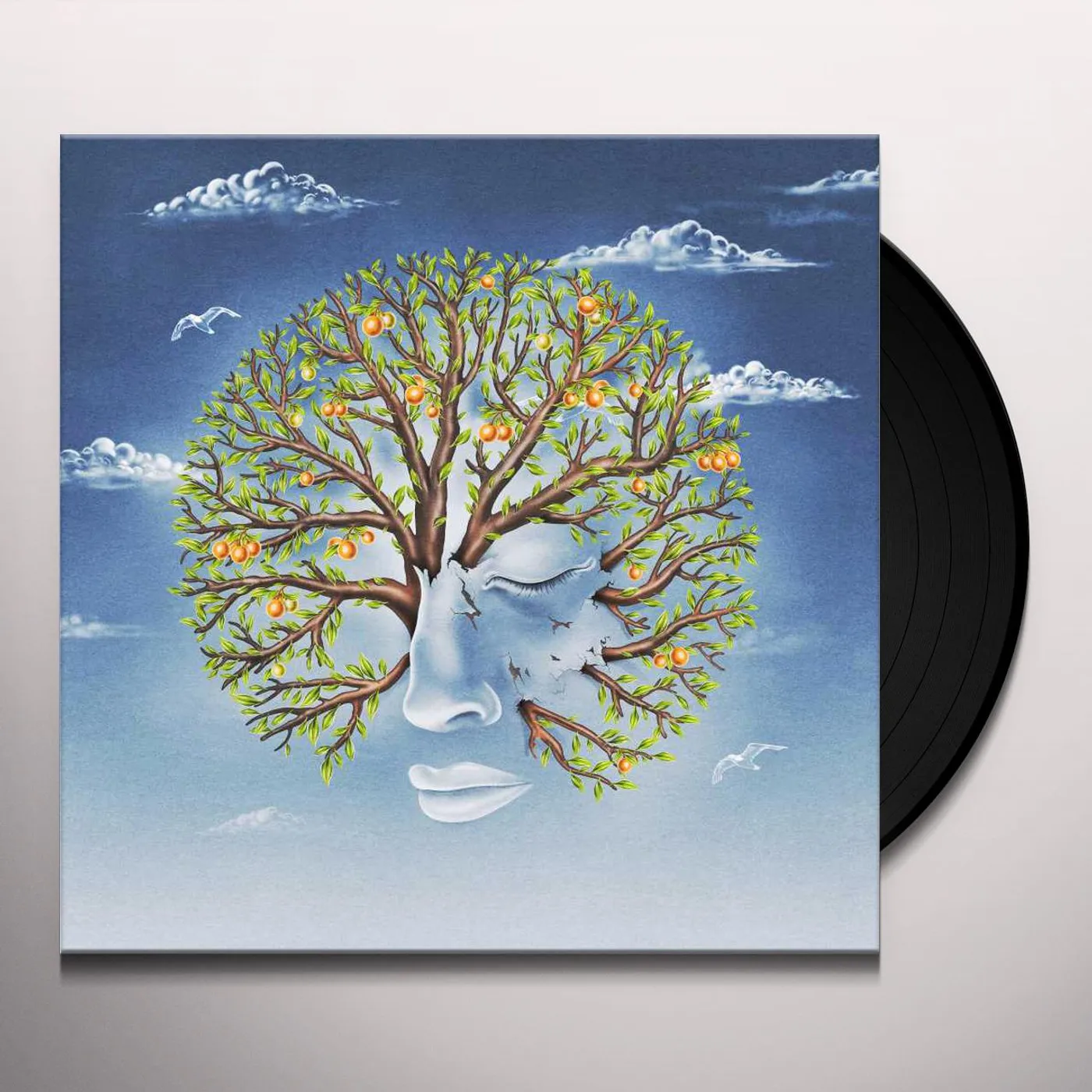 Another Sky Life Was Coming In Through The Blinds Vinyl Record