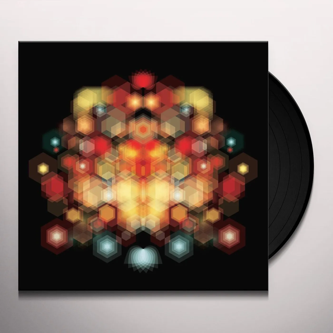 Brothertiger Future Splendors Vinyl Record