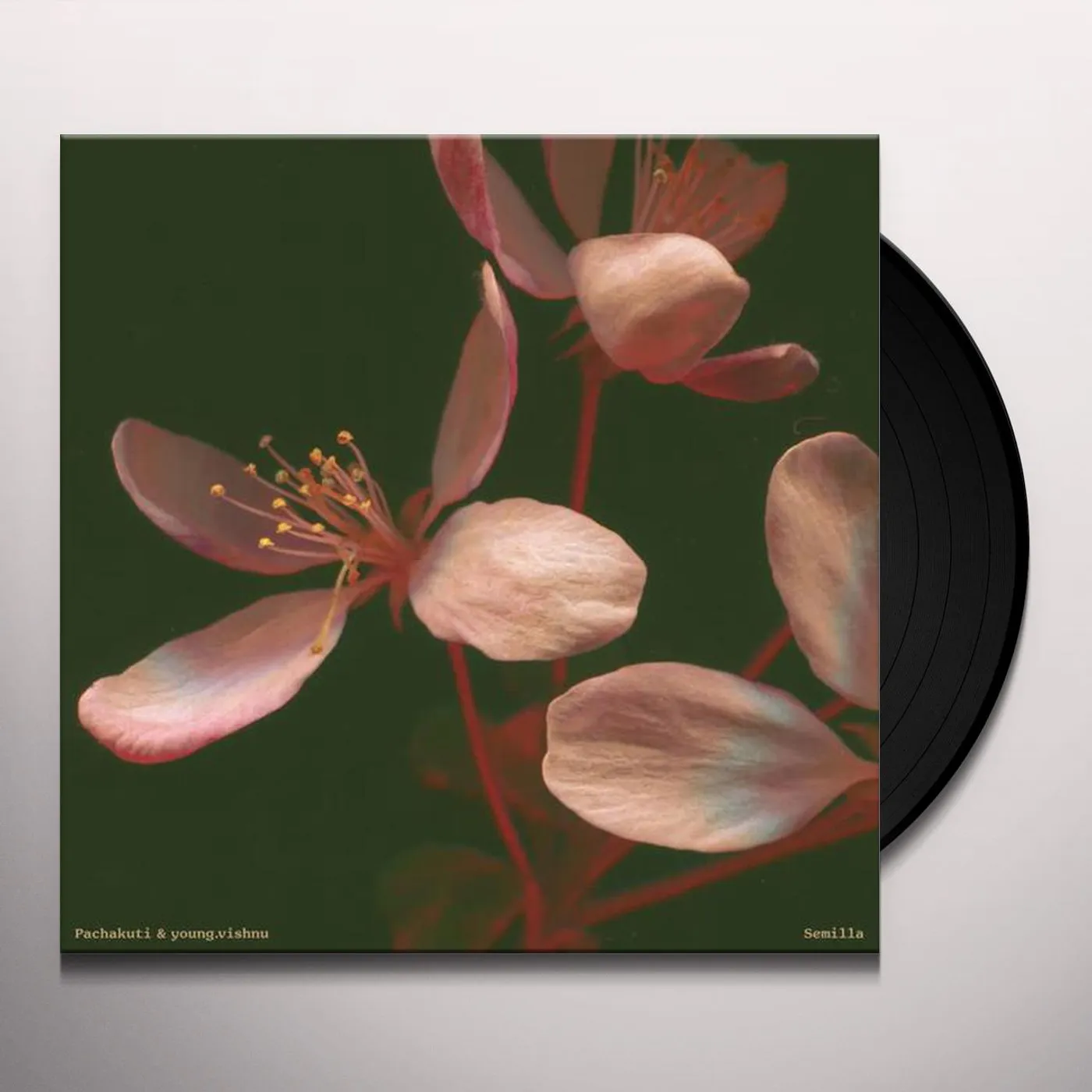 Pachakuti / Young.Vishnu SEMILLA Vinyl Record