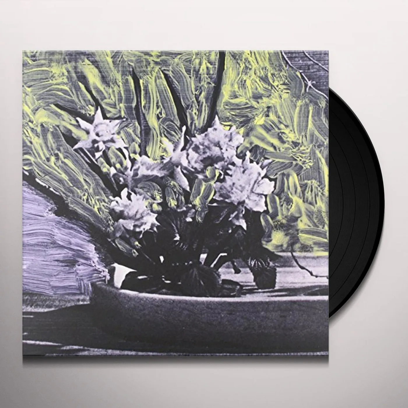 White Walls Vinyl Record