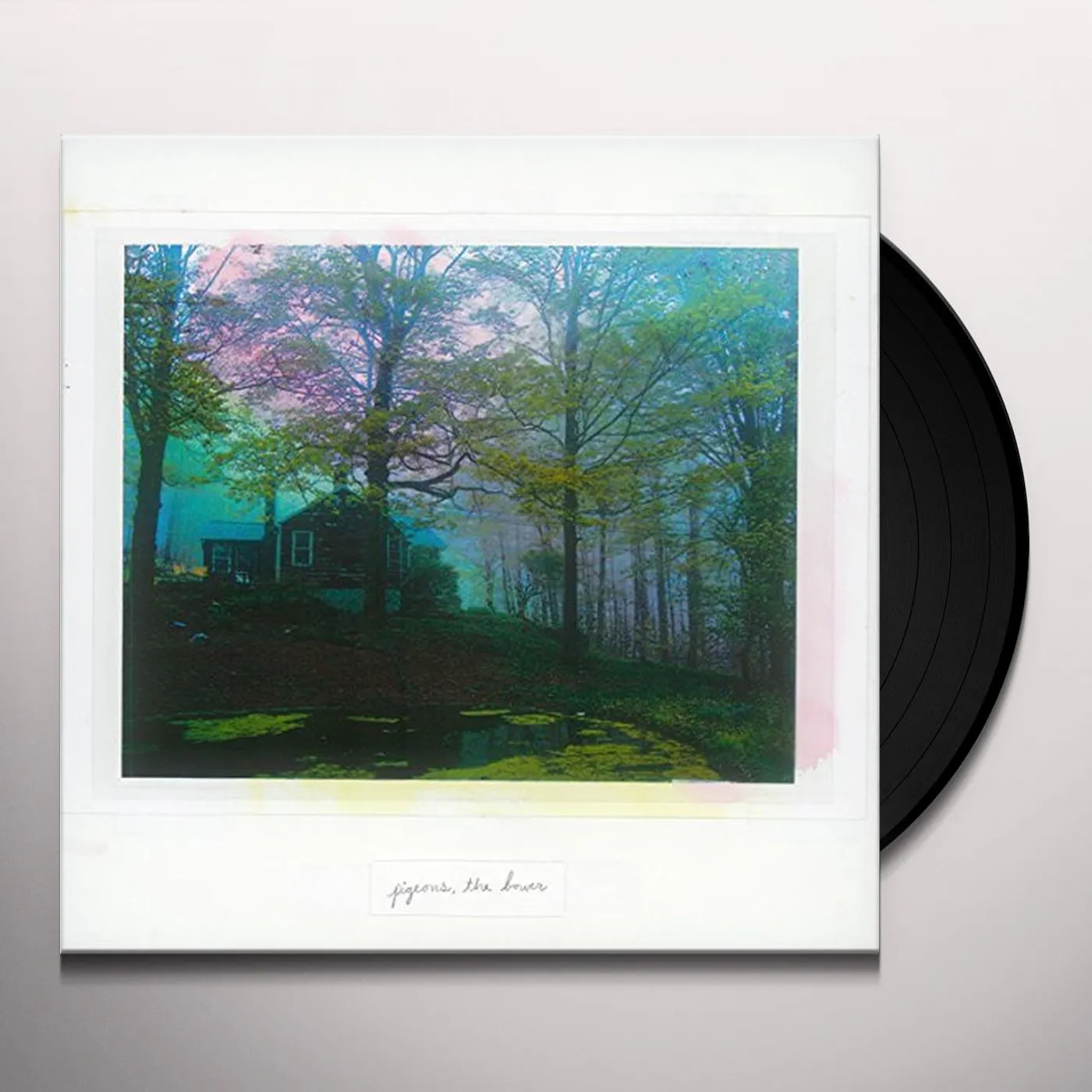 Pigeons BOWER Vinyl Record