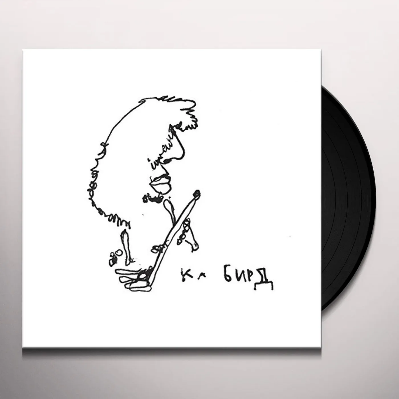 Ka Baird Sapropelic Pycnic Vinyl Record