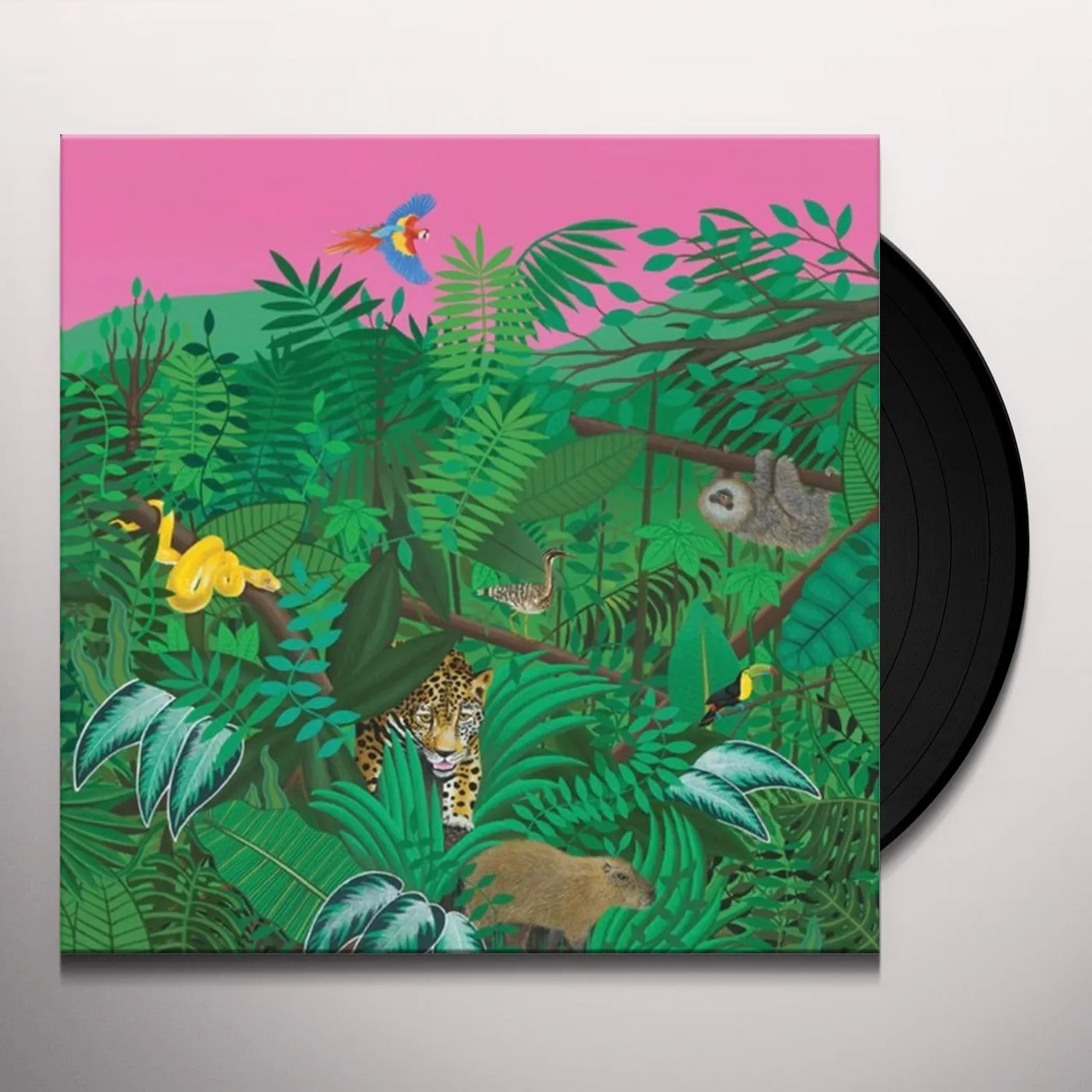 Turnover Good Nature Vinyl Record