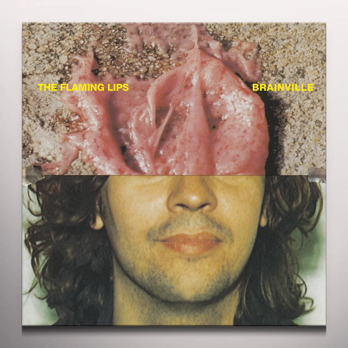The Flaming Lips Brainville Vinyl Record