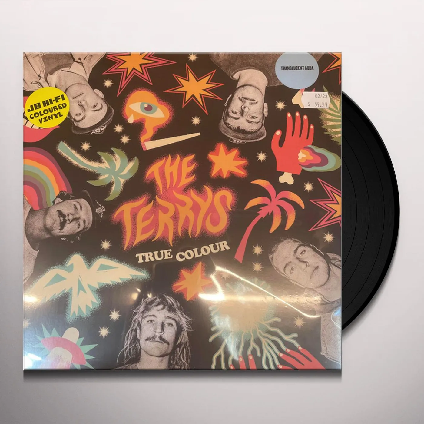 The Terrys TRUE COLOUR Vinyl Record