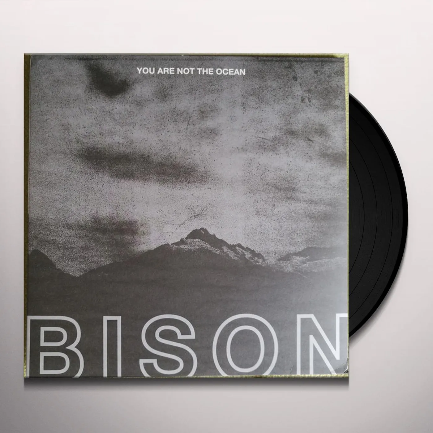 Bison You Are Not The Ocean You Are The Patient Vinyl Record