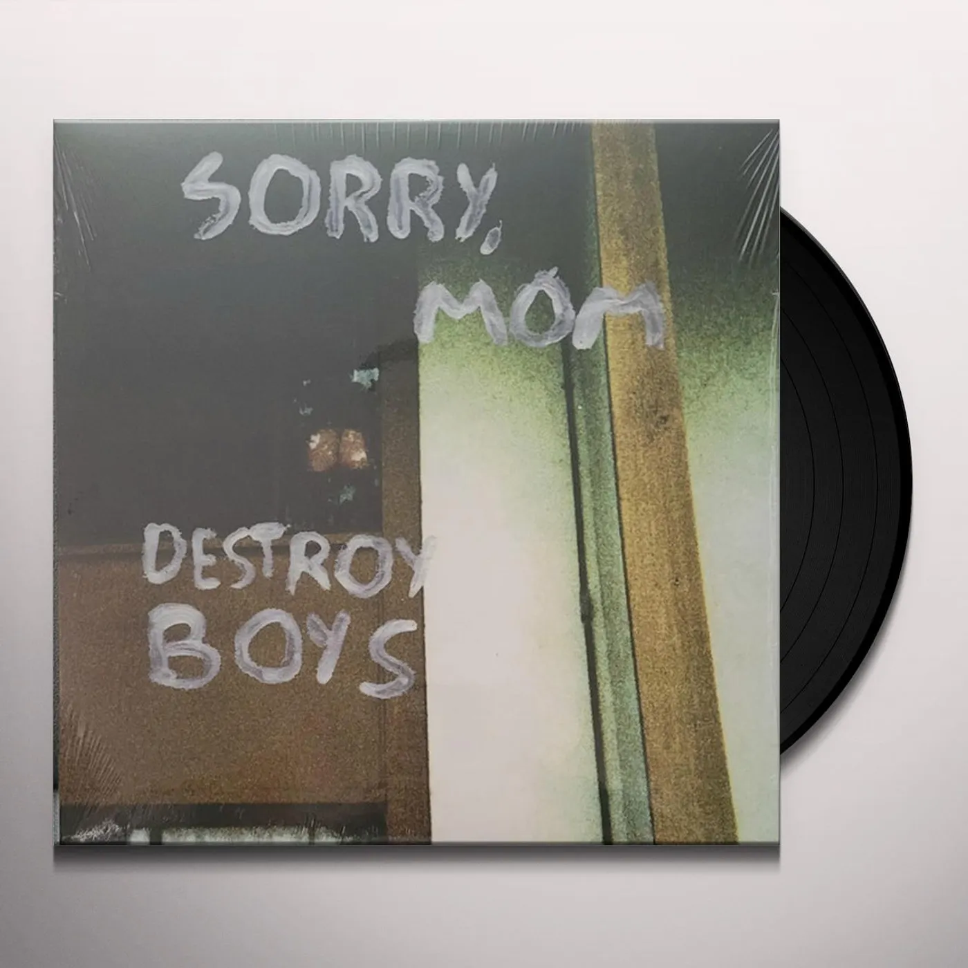 Destroy Boys SORRY MOM Vinyl Record