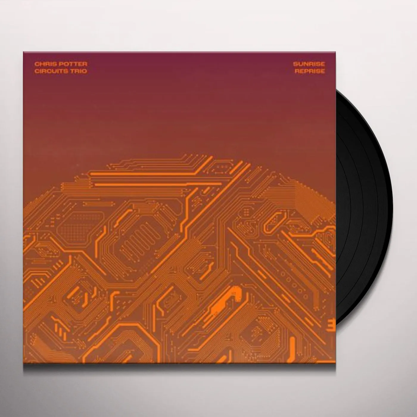 Chris Potter Sunrise Reprise Vinyl Record