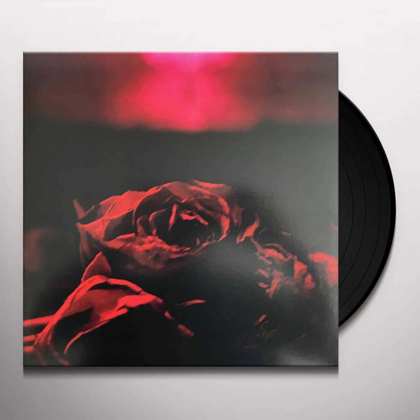 The Paper Kites Roses Vinyl Record