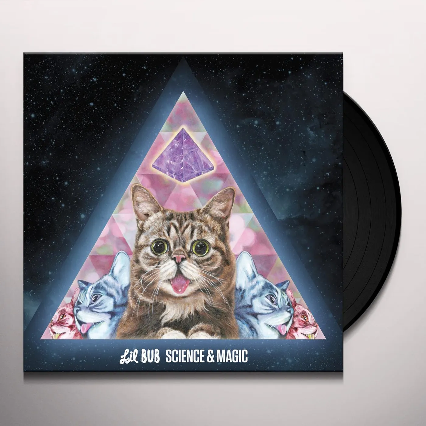 Lil Bub Science & Magic: A Soundtrack to the Universe Vinyl Record