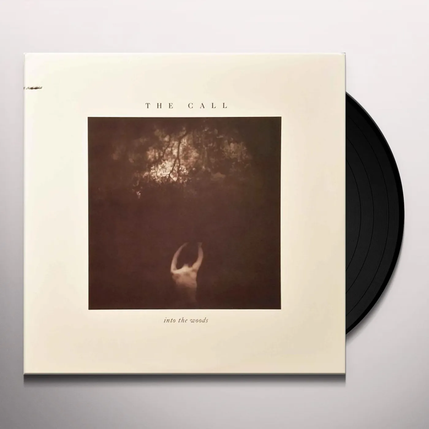 Call Into The Woods (I Don't Wanna) Vinyl Record