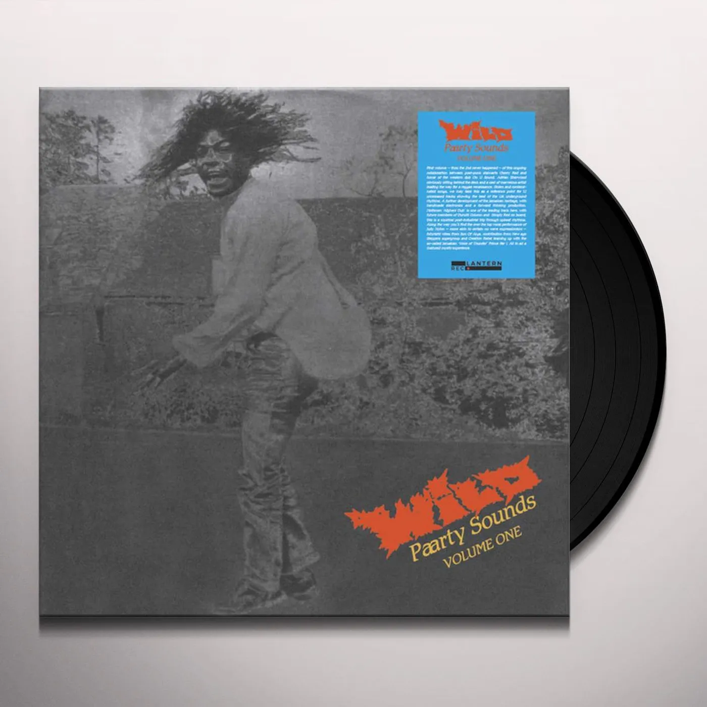 WILD PAARTY SOUNDS VOLUME ONE / VARIOUS Vinyl Record