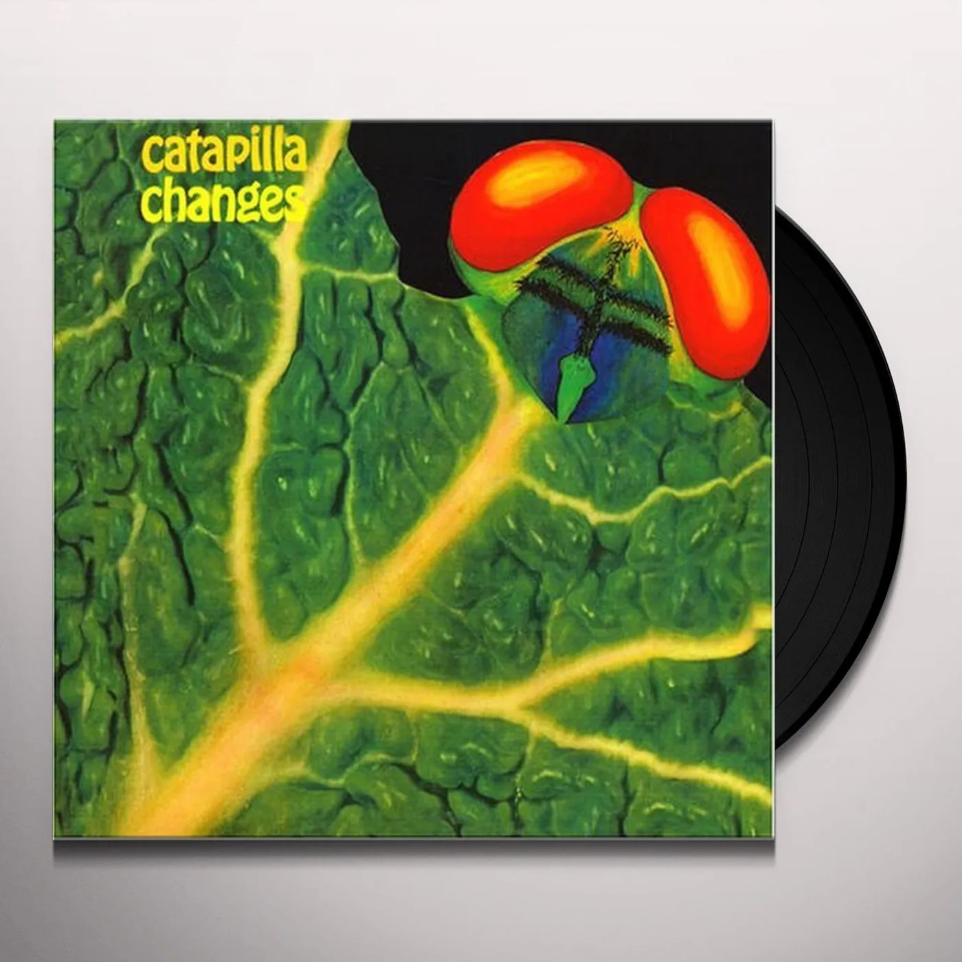 Catapilla CHANGES Vinyl Record