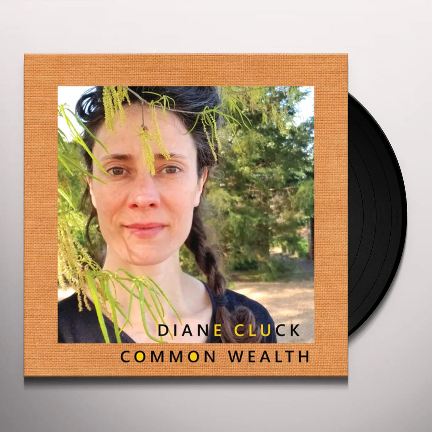 Diane Cluck Common Wealth Vinyl Record