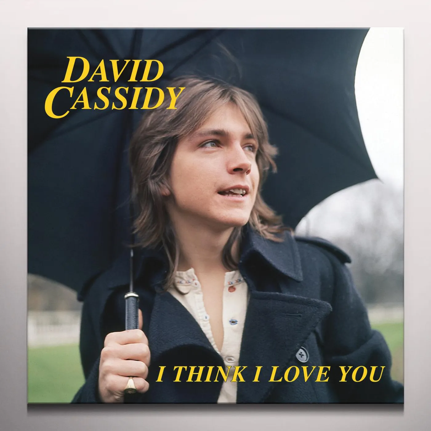David Cassidy I Think I Love You Vinyl Record