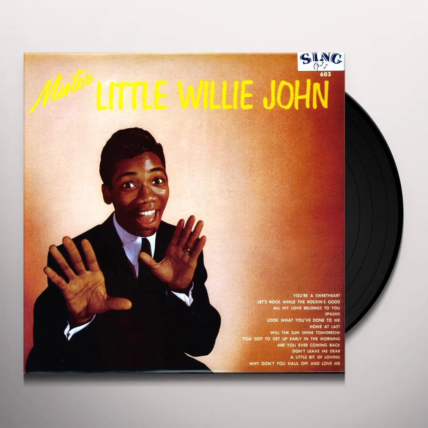 Mister Little Willie John Vinyl Record