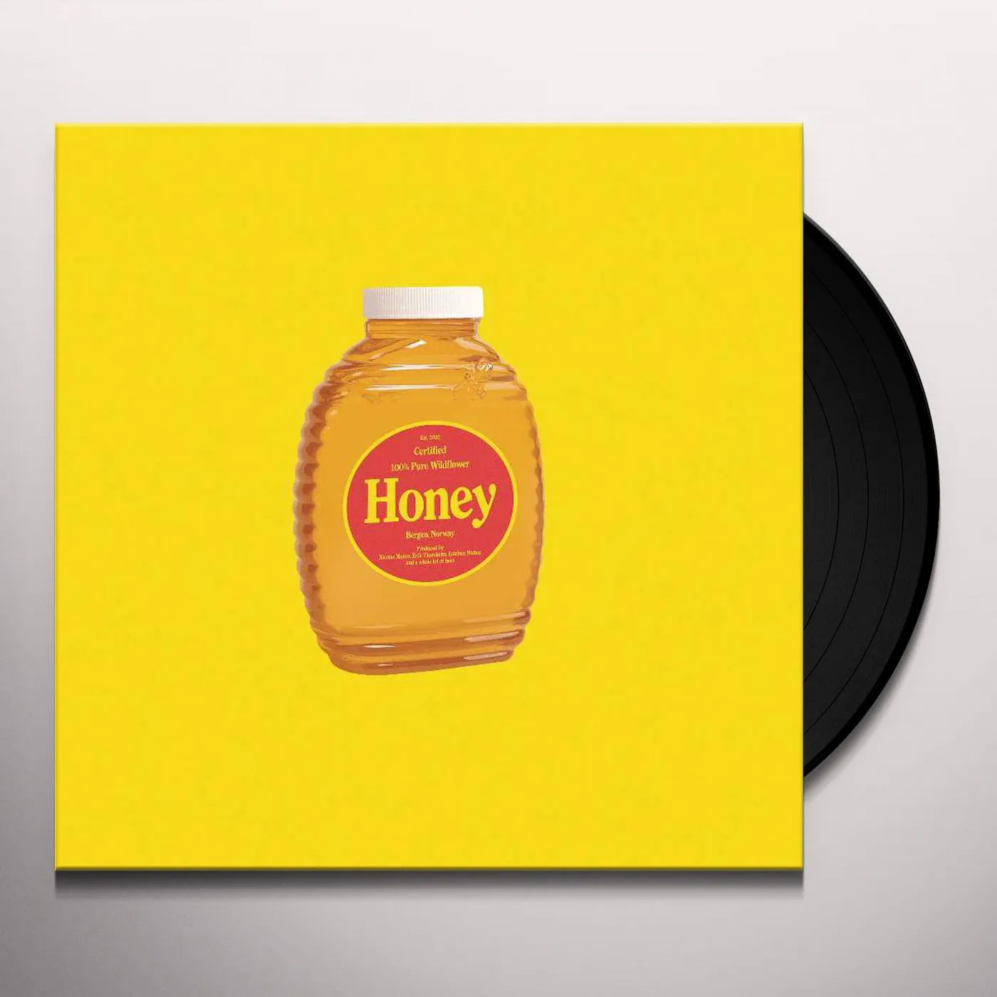 boy pablo Honey (7 ) Vinyl Record