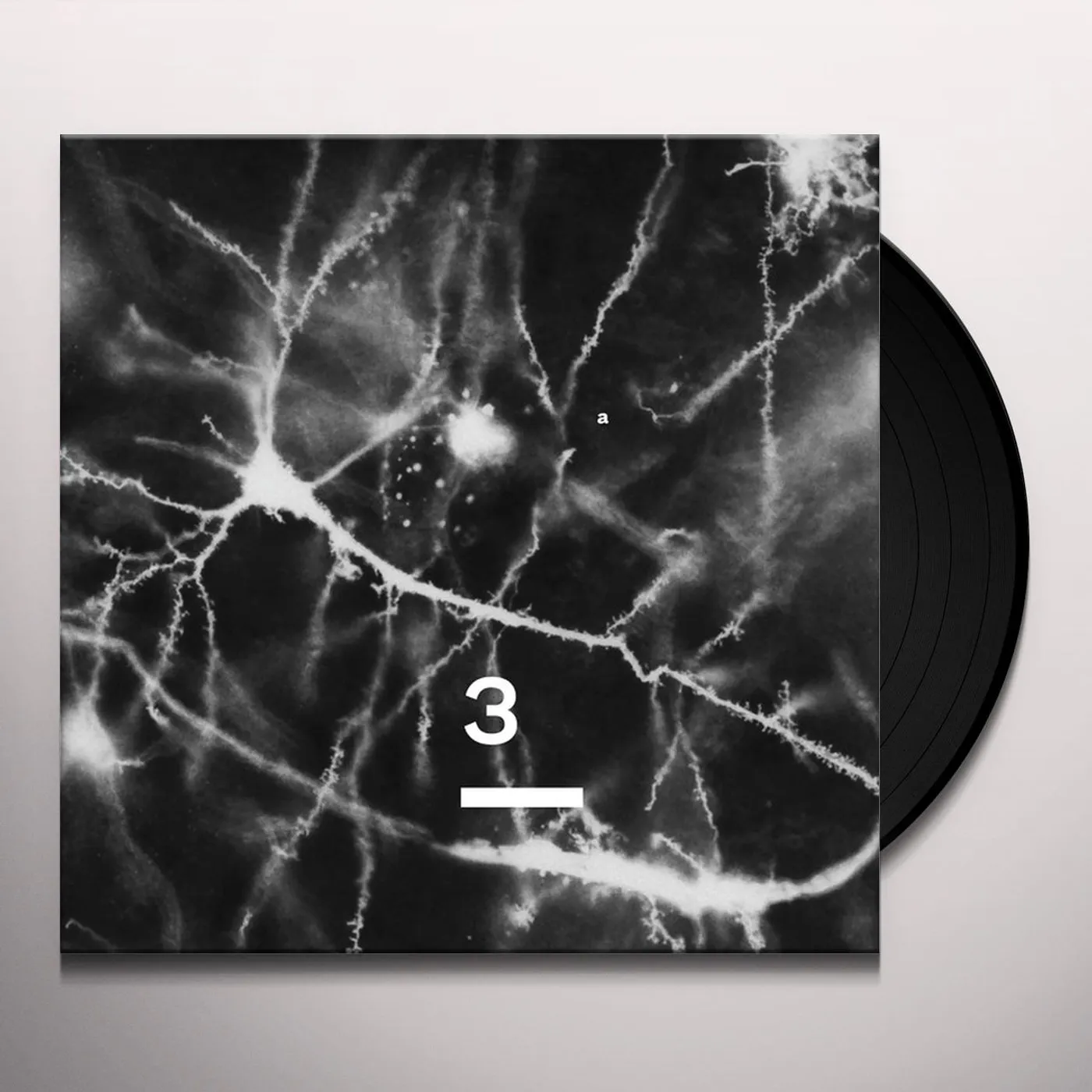 Synapse Knowing Something 3 Vinyl Record