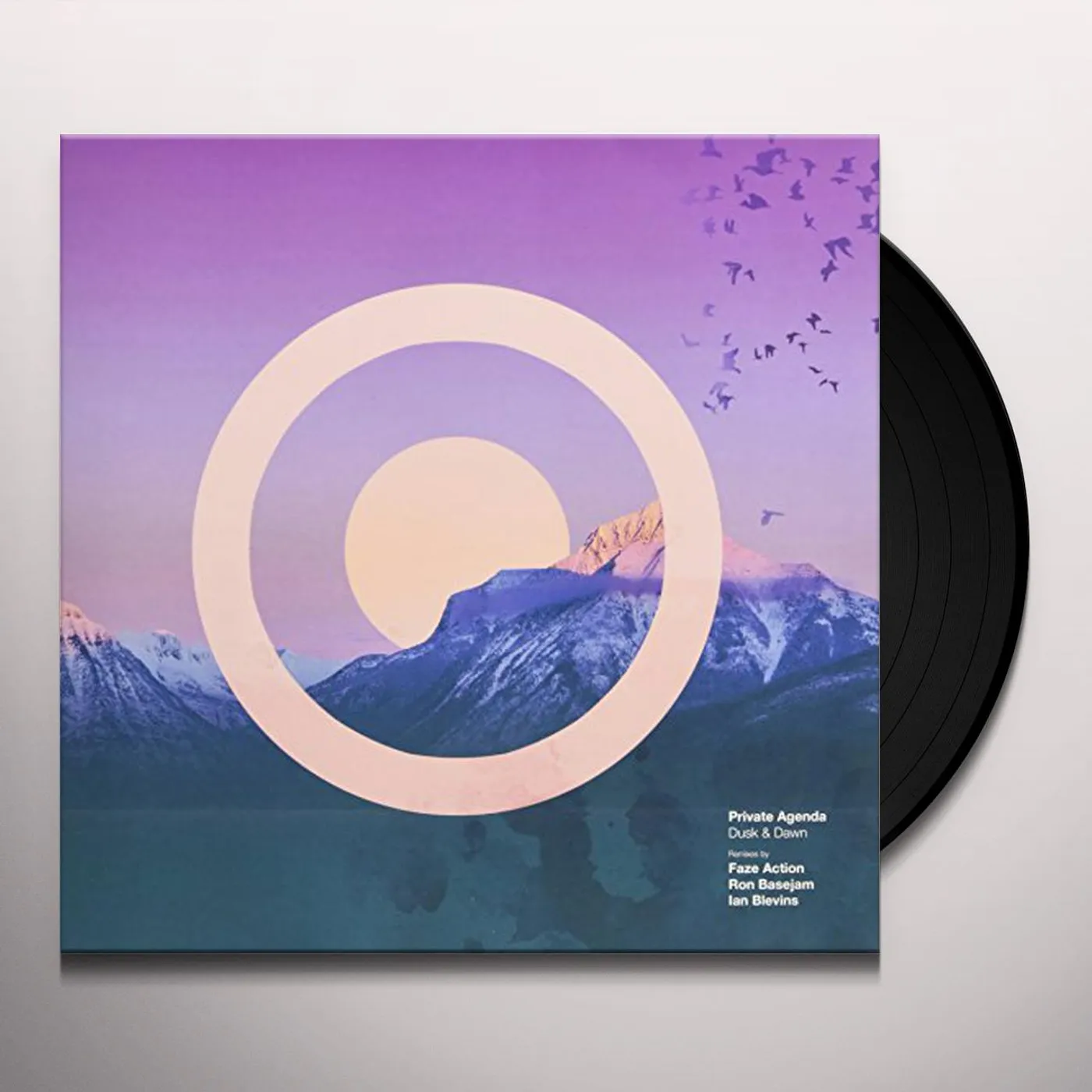 Private Agenda Dusk & Dawn Vinyl Record