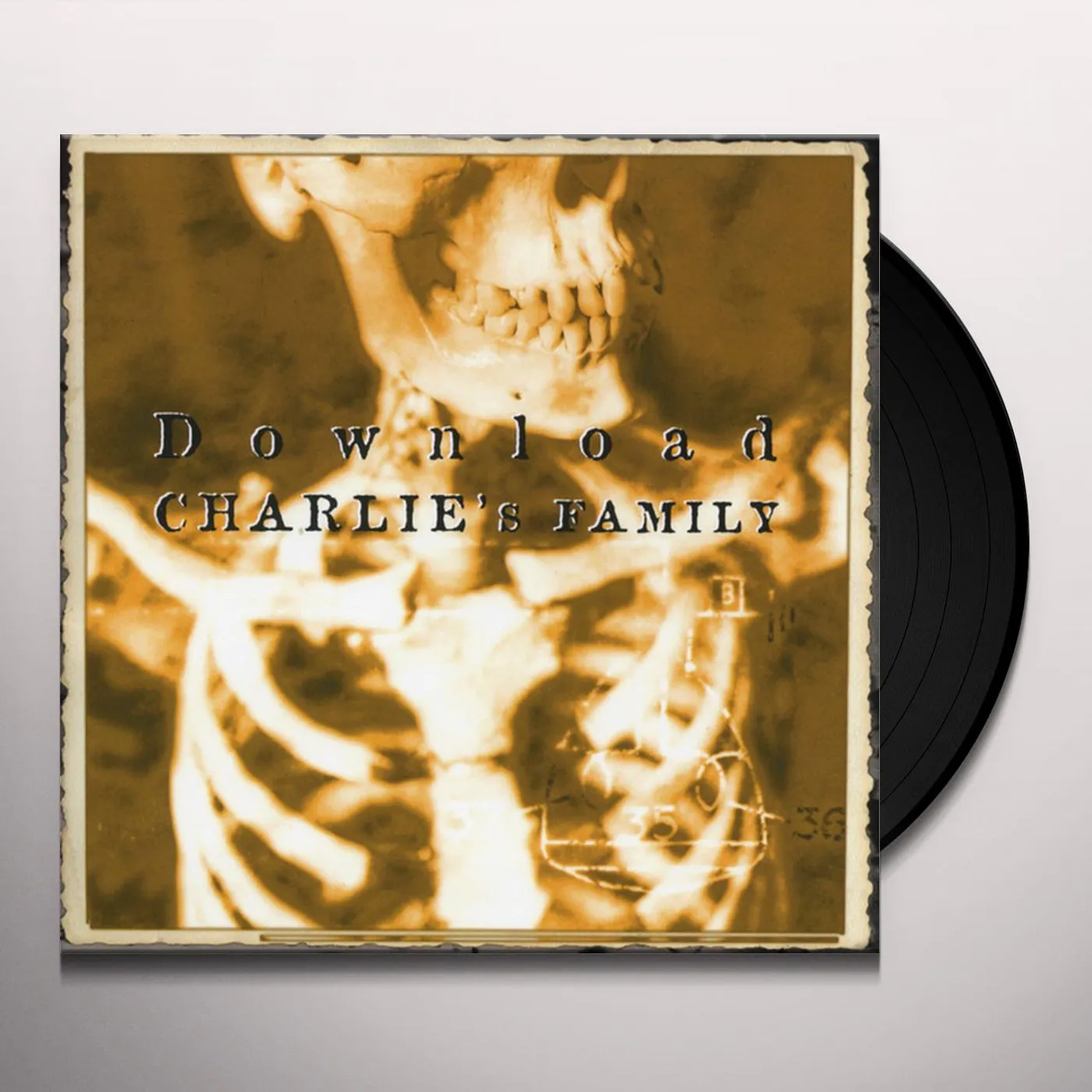 Download Charlie's Family Vinyl Record