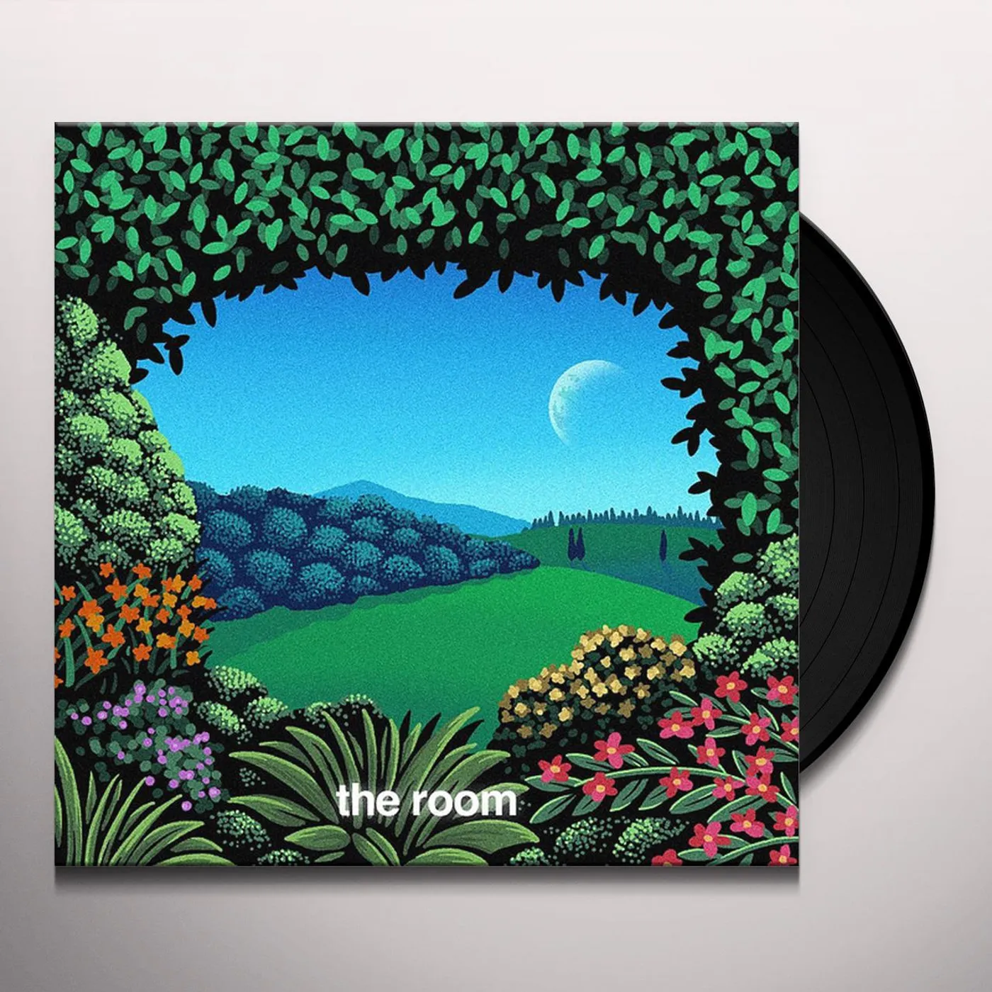 Ricky Reed ROOM (TURQUOISE WAVE VINYL) Vinyl Record
