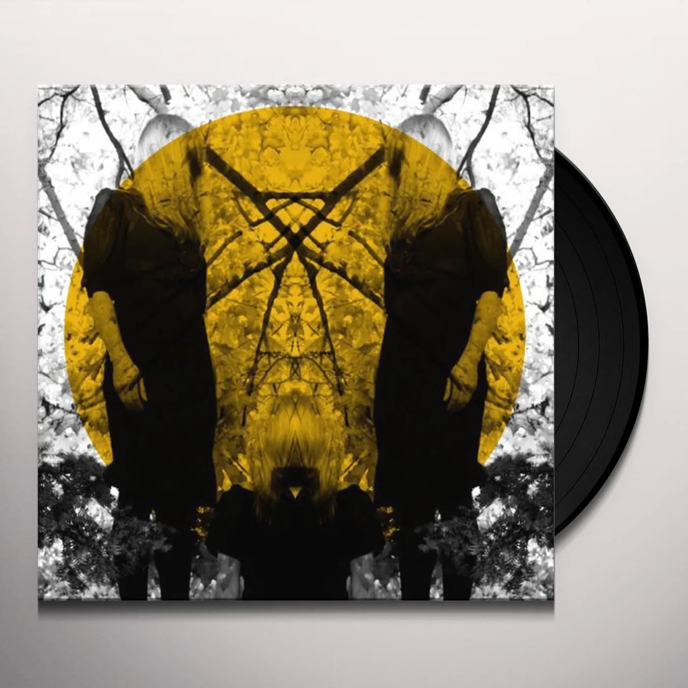 Austra Feel It Break Vinyl Record