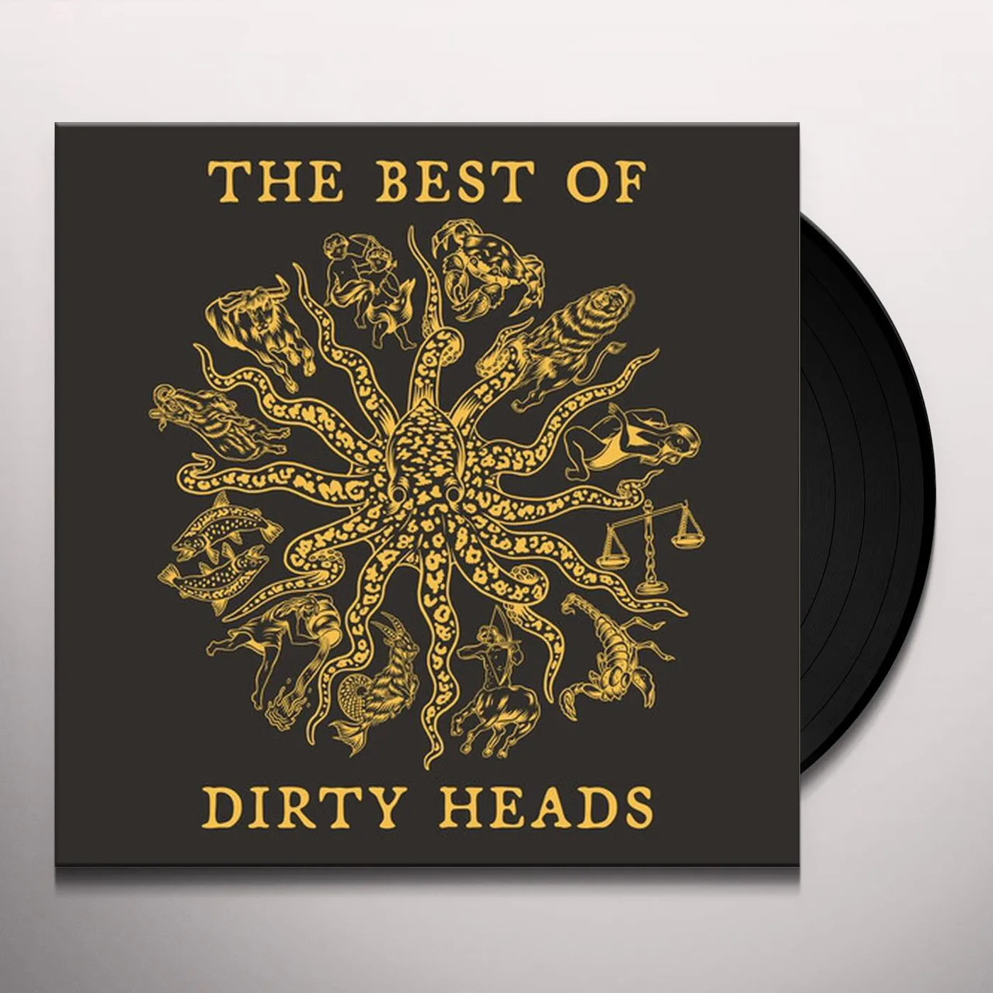 BEST OF DIRTY HEADS (2LP) Vinyl Record